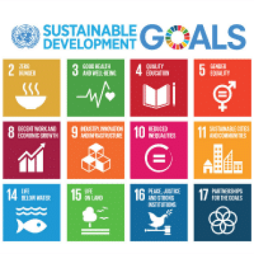 SDG-Poster