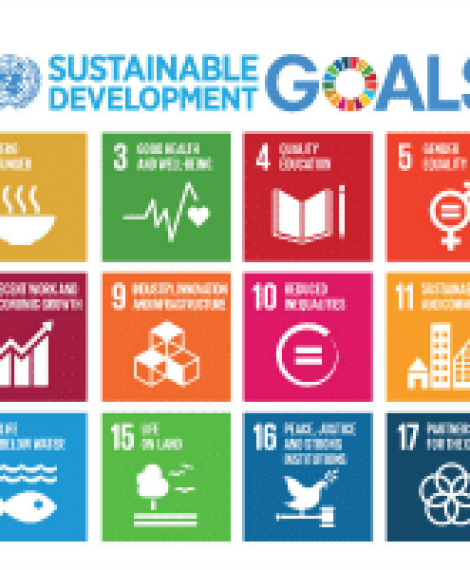 SDG-Poster